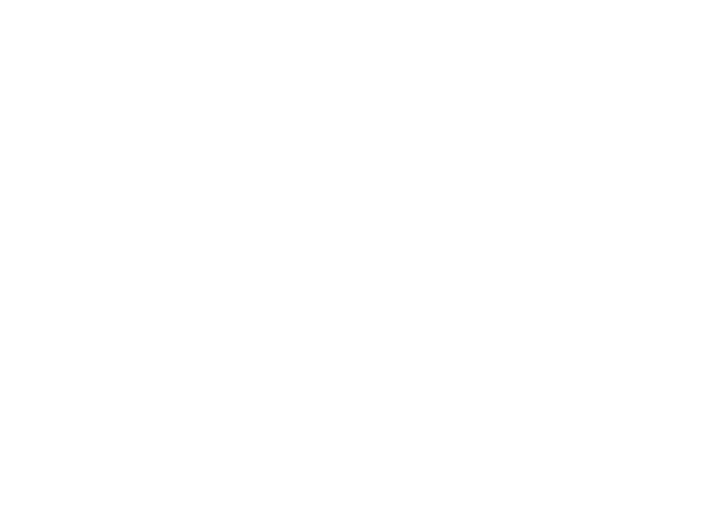 Nick Nelson Real Estate Agent
